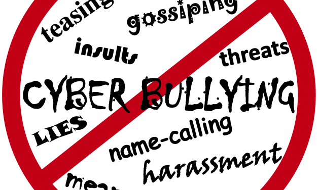 Hărțuirea online, un fenomen care ia amploare!